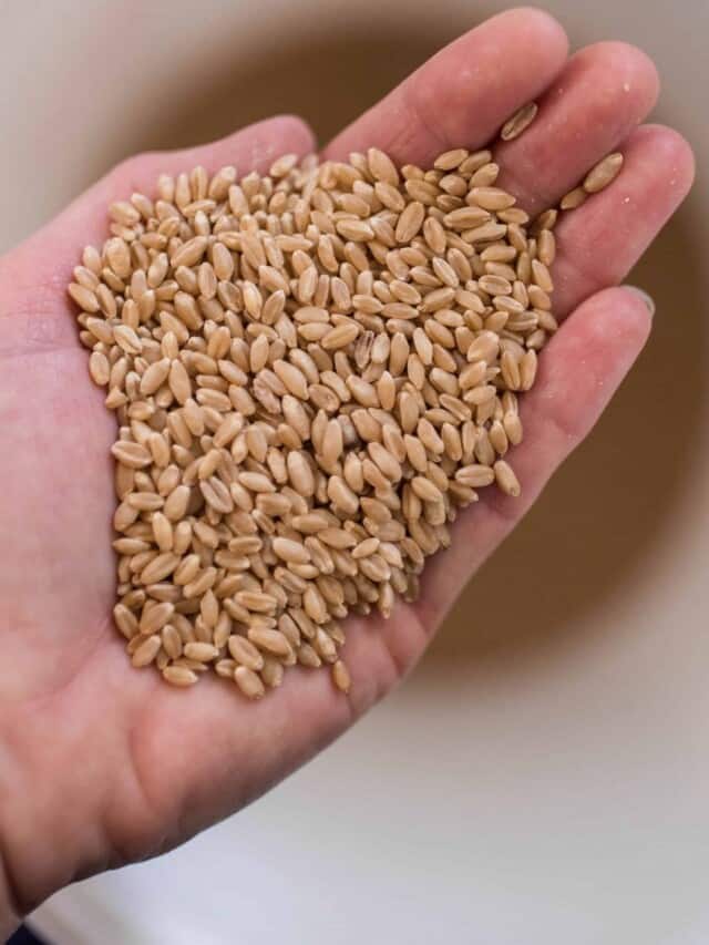 Stories Archive Page 7 of 10 Farmhouse on Boone