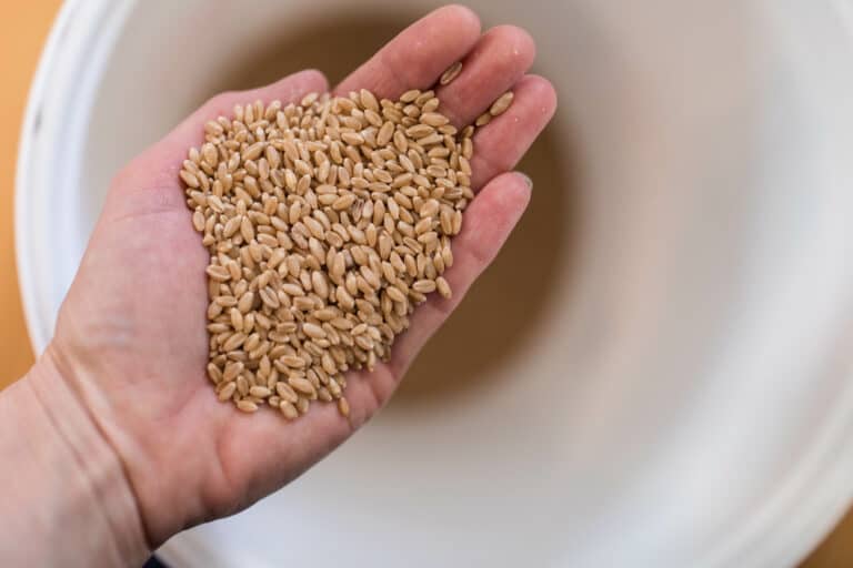 How To Mill Your Own Flour At Home Farmhouse on Boone