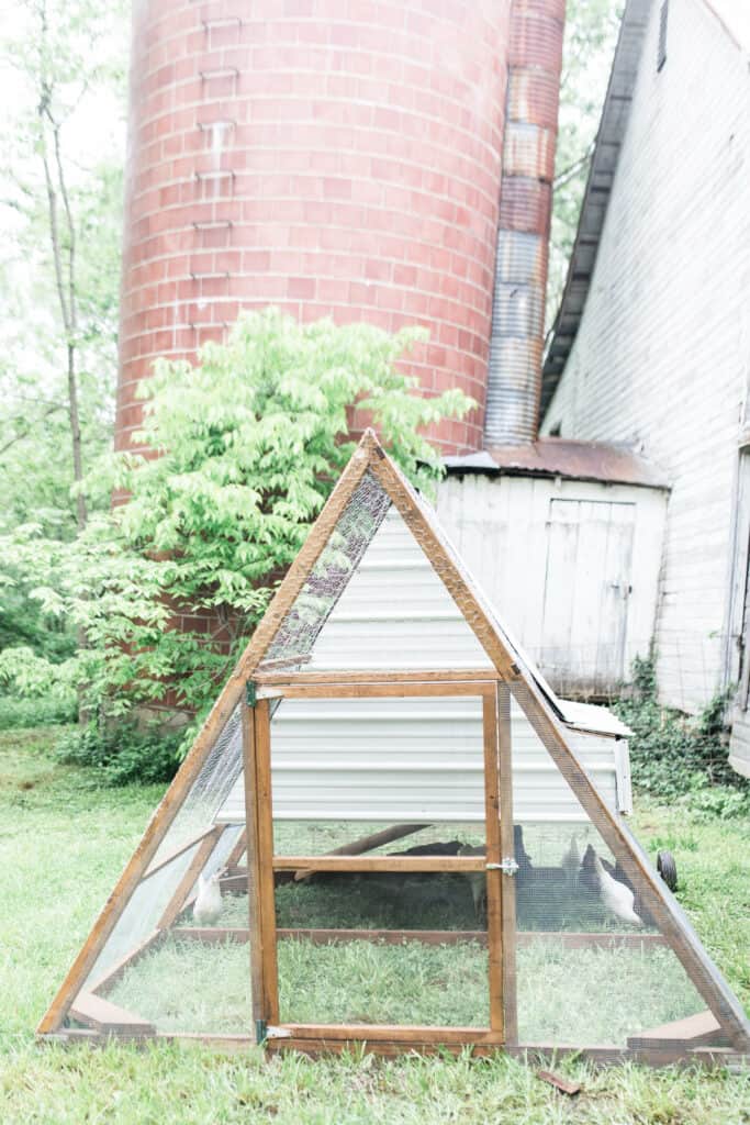 Our A Frame Chicken Tractor Farmhouse On Boone