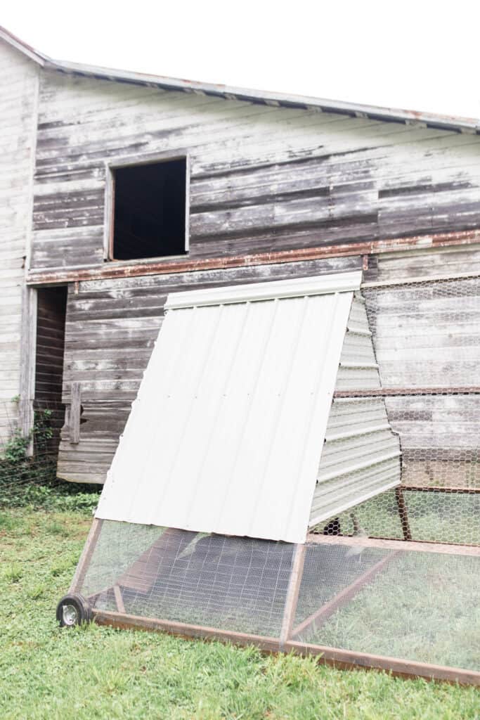 A frame chicken tractor with nesting boxes and ramp diy build
