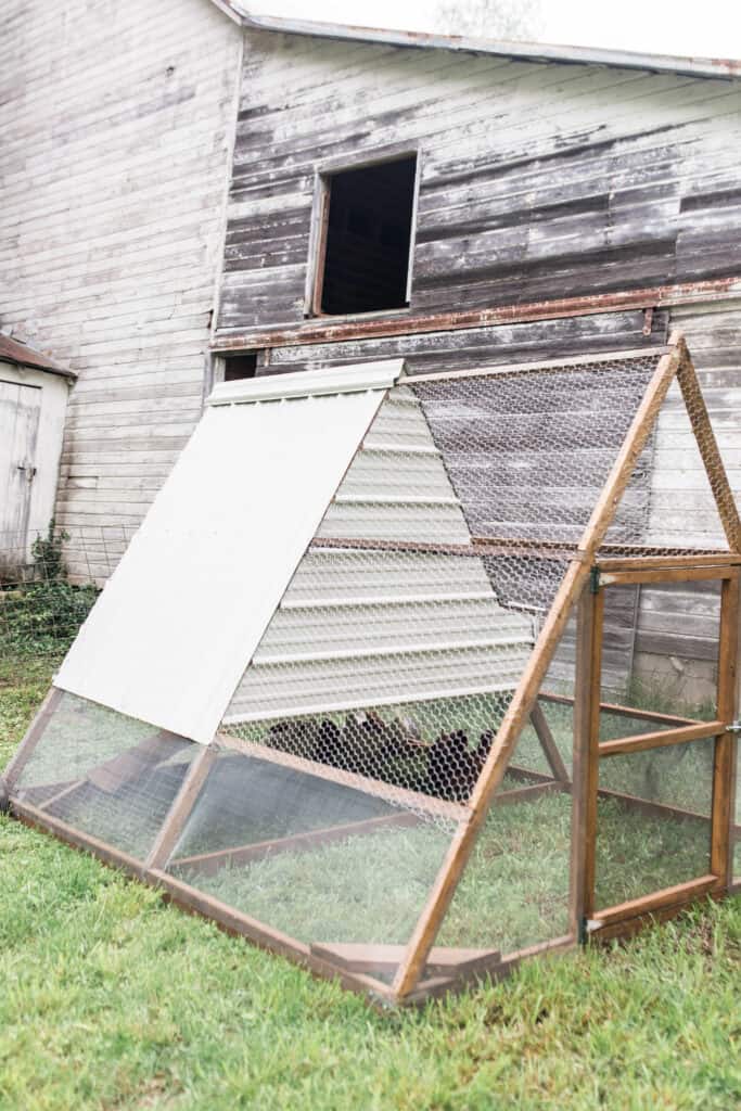 a frame chicken coop from green willow homestead plans