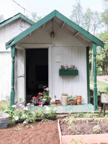 farmhouse cottage garden and raised beds