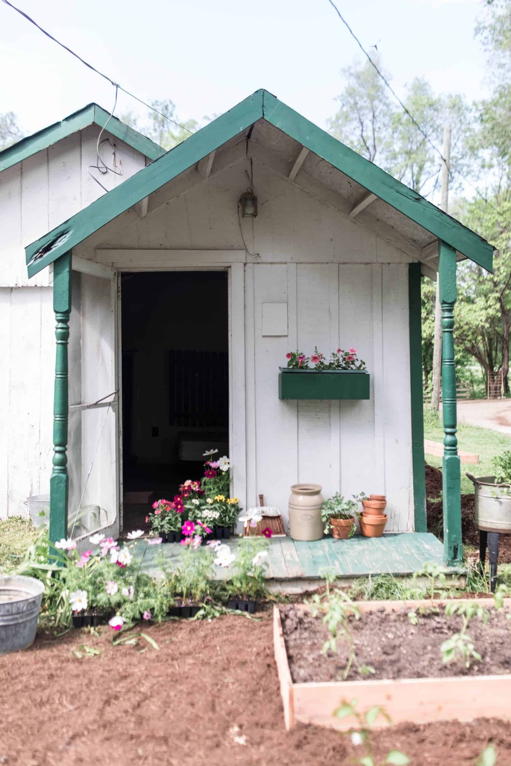 farmhouse cottage garden and raised beds