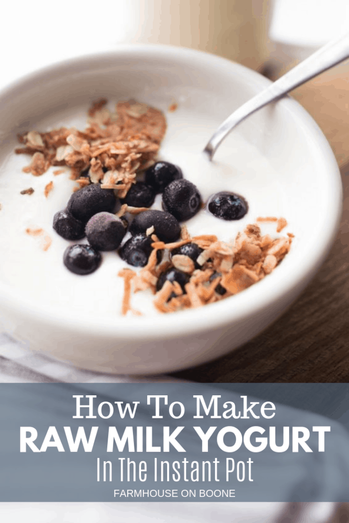 raw milk yogurt in a white bowl with blueberries and granola