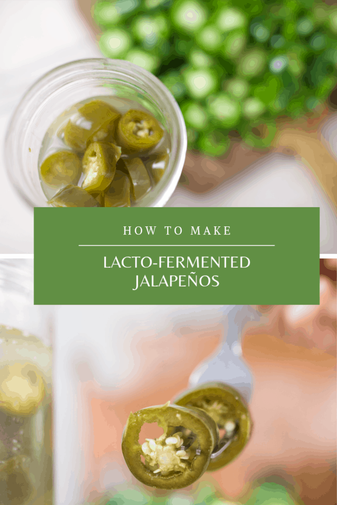 lacto fermented jalapenos 