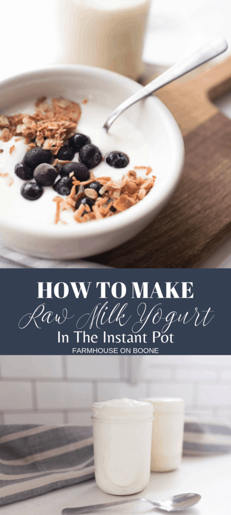 raw milk yogurt made in the instant pot topped with granola and bueberries