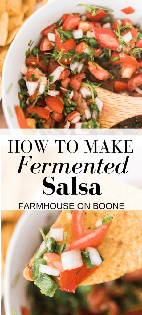 wo pictures of fermented salsa