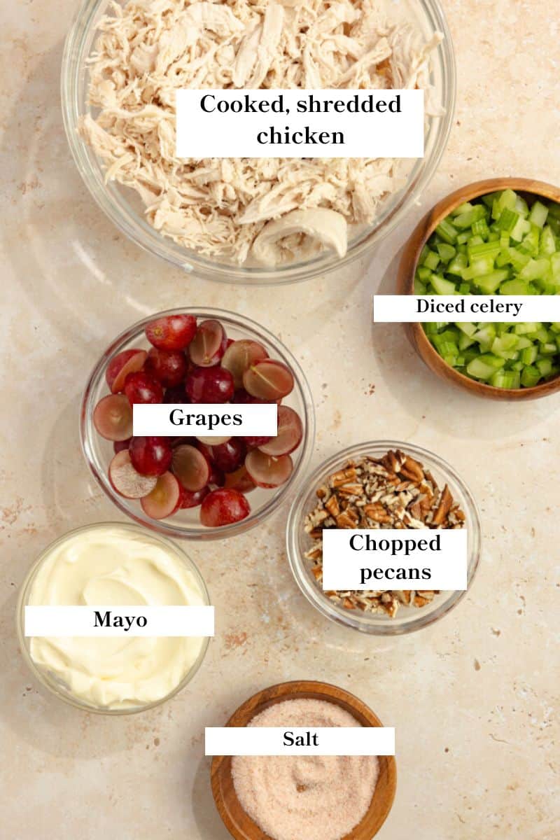 Shredded chicken, diced celery, grapes, chopped pecans, mayo, and salt all in bowls.