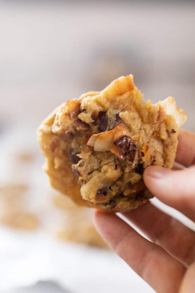 hand holding up toasted coconut cookies with chocolate chips