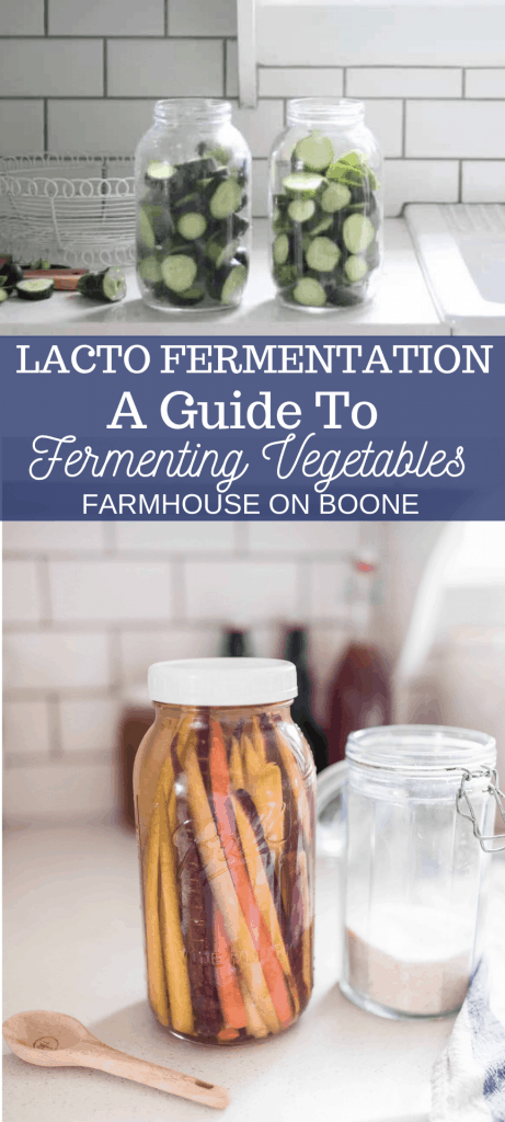 The Master Guide of Materials You Need to Make Homemade Fermented  Vegetables - One Green Planet