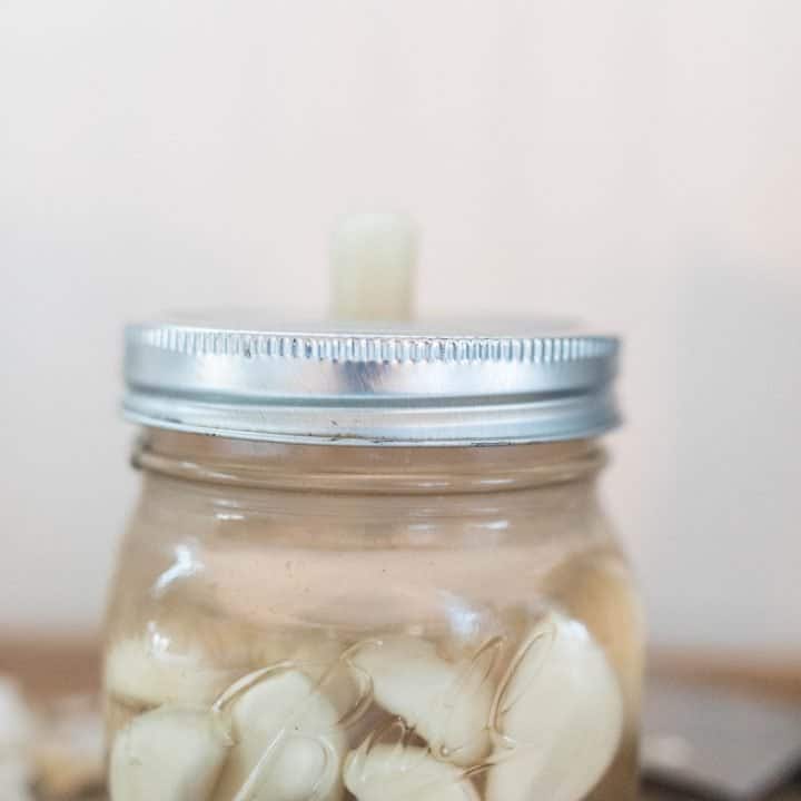 fermented garlic in a jar with a white fermenting lid of a wood table