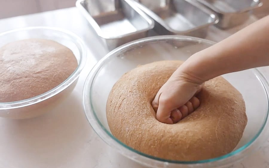hand punching down homemade sourdough bread dough in glass bowls