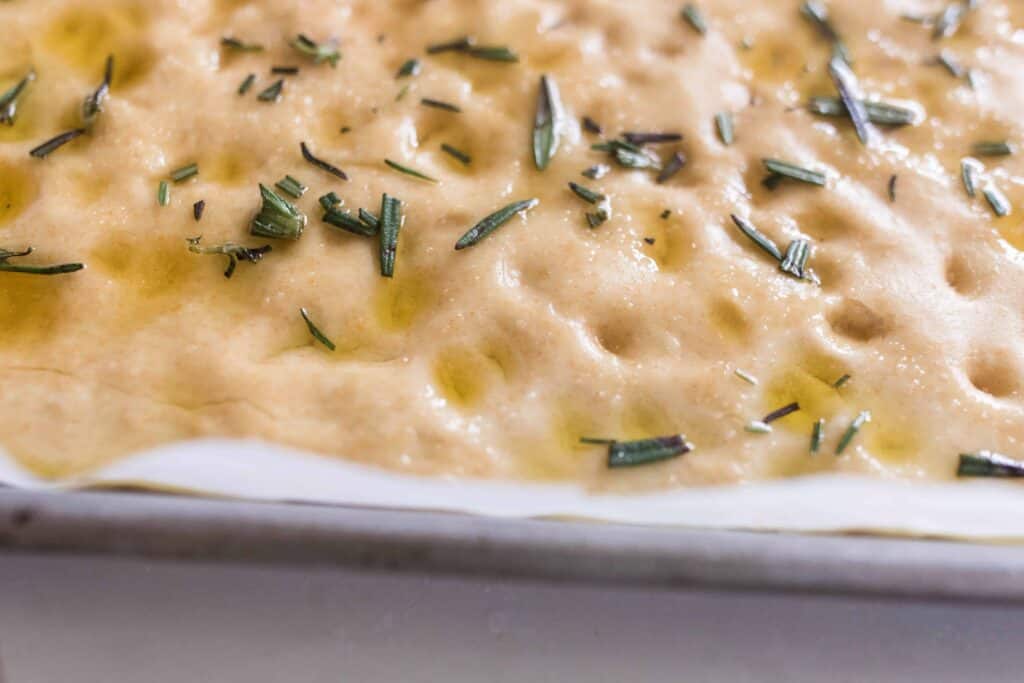 sourdough focaccia dough drizzled with olive oil and herbs