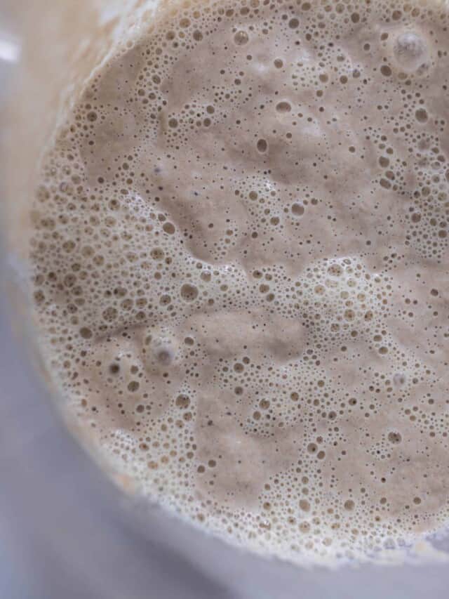 How to Make a Sourdough Starter from Scratch Farmhouse on Boone