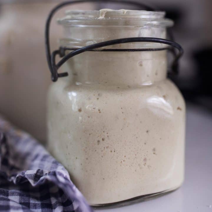 Gluten Free Sourdough Starter