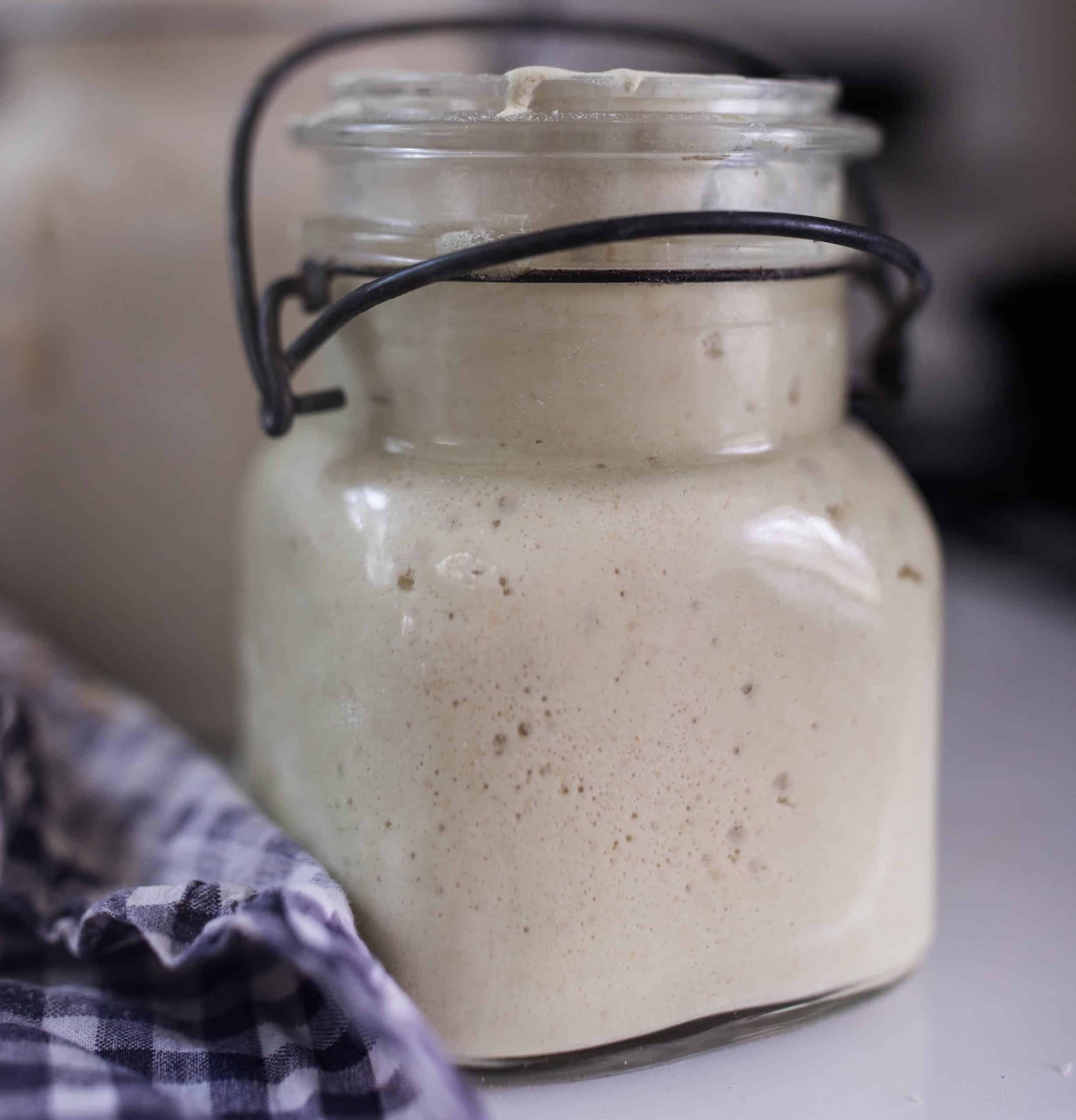 Gluten Free Sourdough Starter Farmhouse On Boone gluten-free-sourdough-starter-farmhouse-on-boone