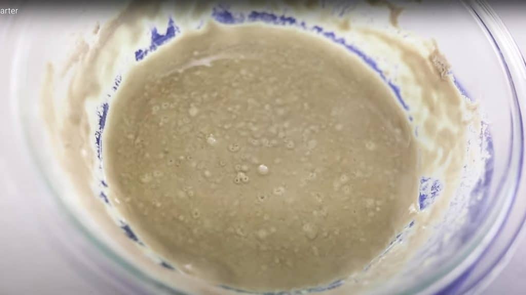 gluten free sourdough starter with a dark colored liquid (called a hooch) on top.