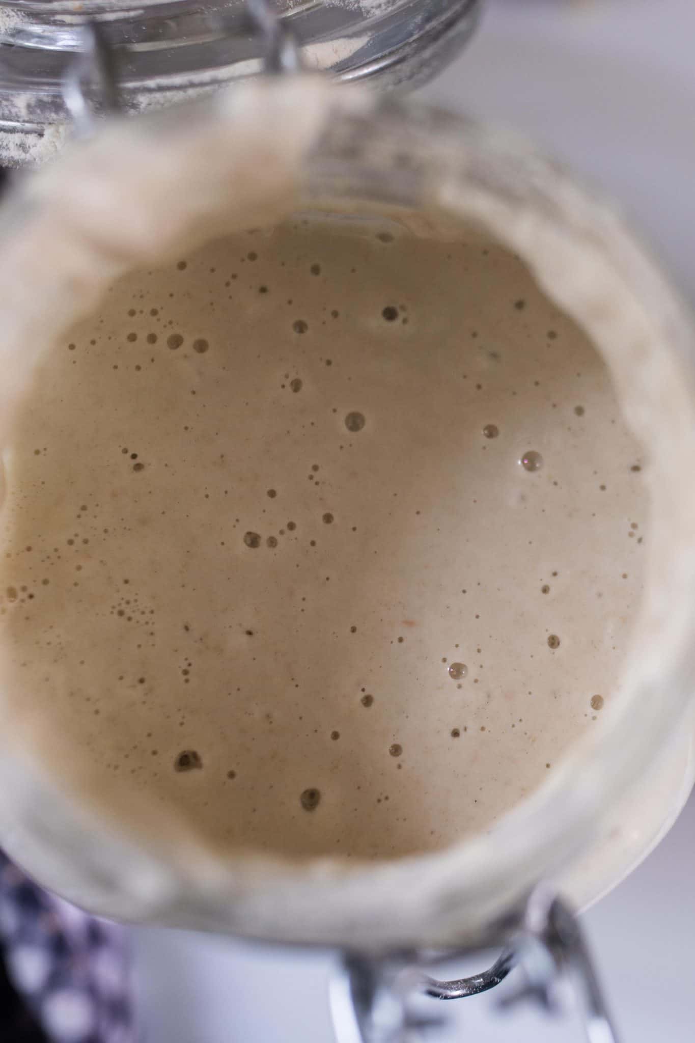 Gluten Free Sourdough Starter Farmhouse On Boone gluten-free-sourdough-starter-farmhouse-on-boone