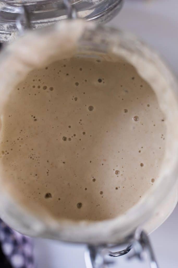 overhead photo of buckwheat sourdough starter in a glass bowl on a white countertop