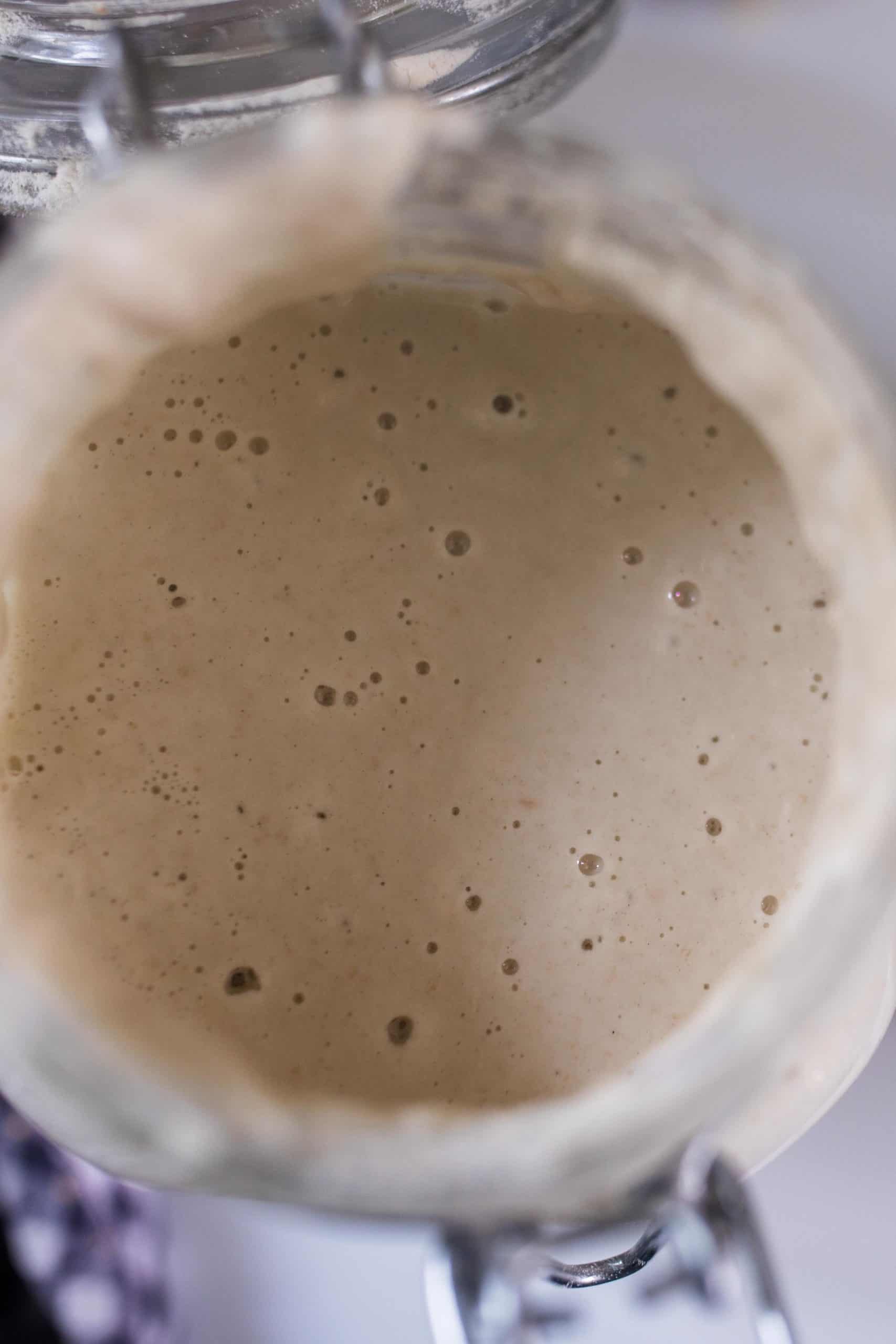 Gluten Free Sourdough Starter Farmhouse on Boone