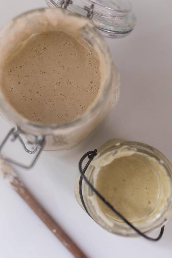 two jars or sourdough gluten free starter on a white countertop 