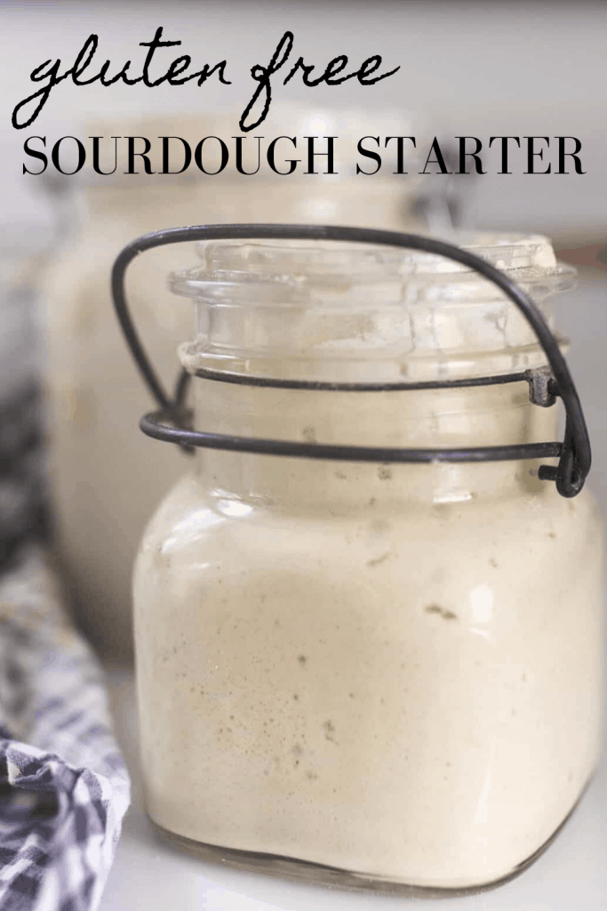 gluten-free-sourdough-starter-11-copy-1