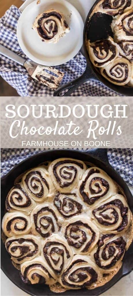 Sourdough Sandwich Rolls - Farmhouse on Boone