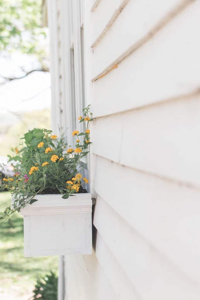 side view of DIY planter flower box with yellow flowers