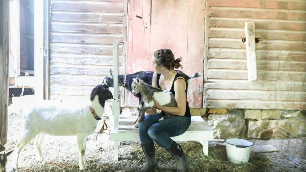 women sitting on a white diy goat milking stand while holding a baby goat and another goat on the stand