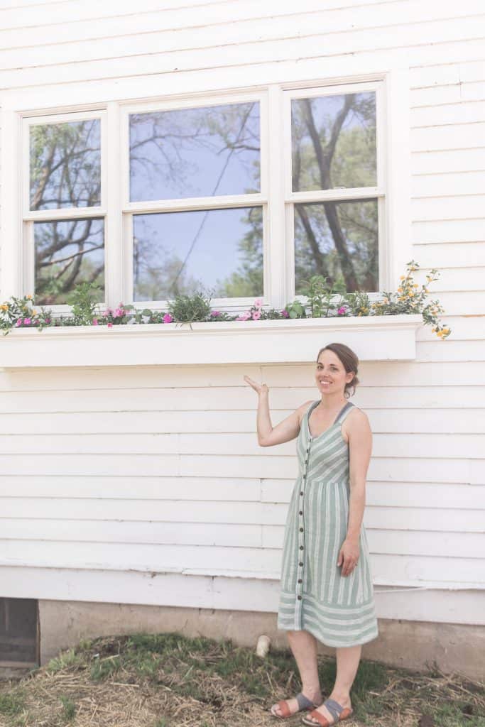 women wearing a green and cream dress pointing to a DIY window box