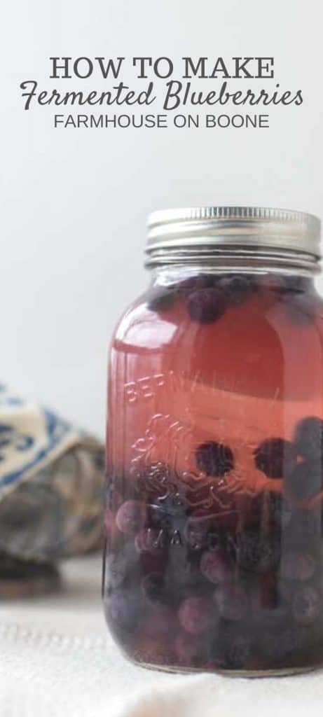 fermented blueberries in a jar