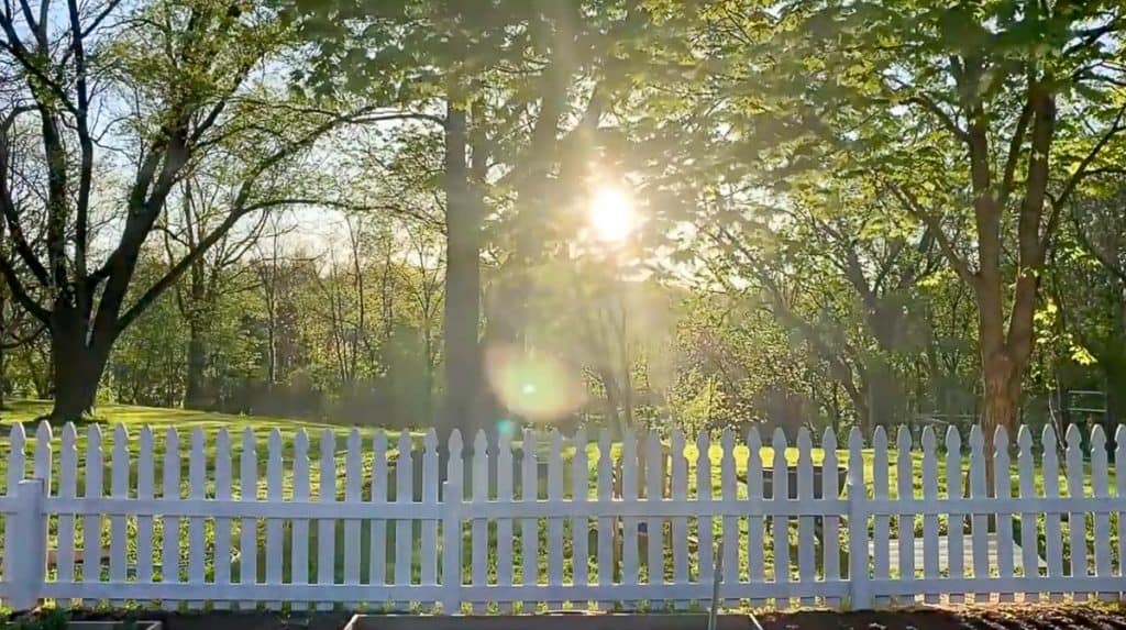 white picket fence with trees and the sun setting in the background