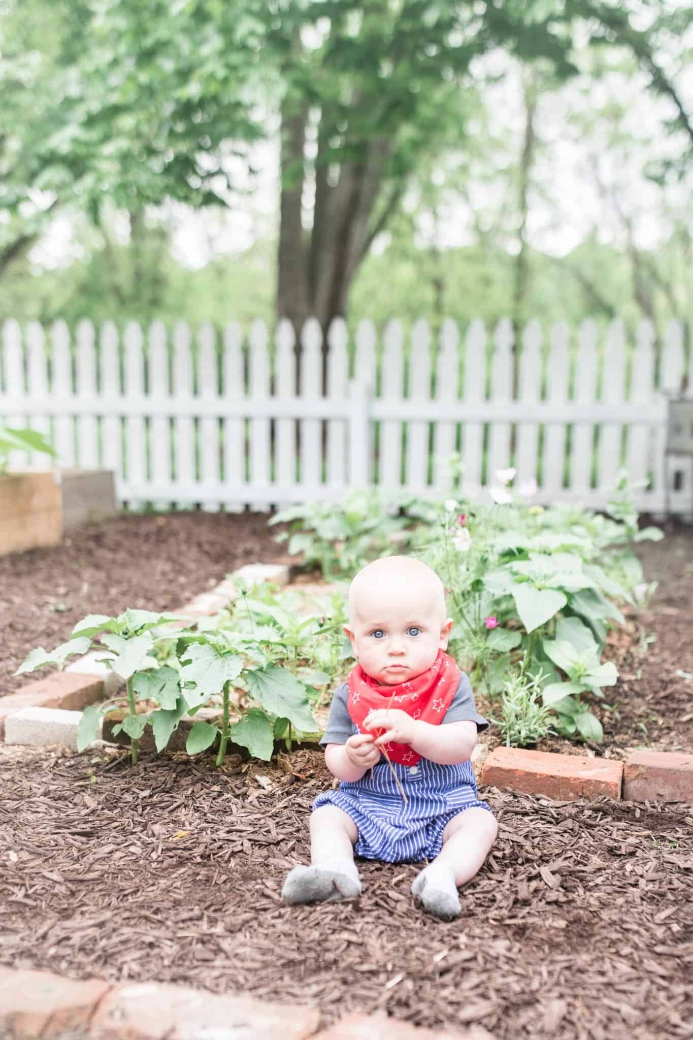 baby sitting in a raised bed garden with a. white picket fence in the background