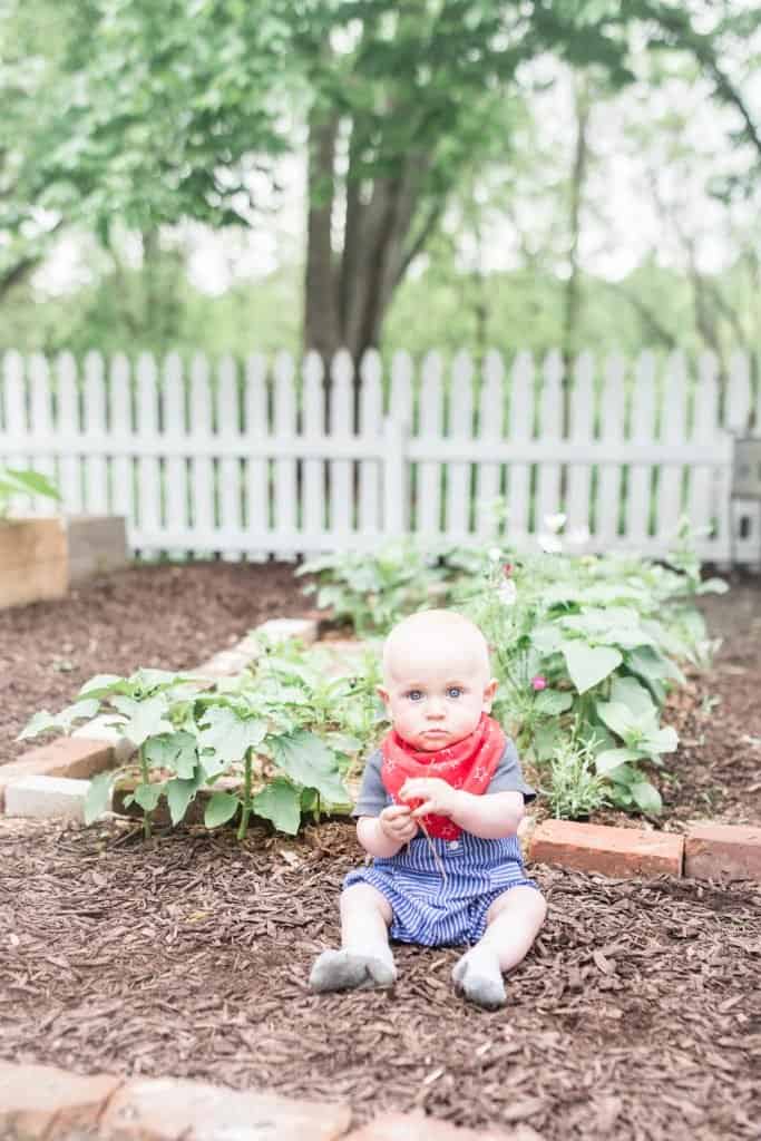 baby sitting in a raised bed garden with a. white picket fence in the background