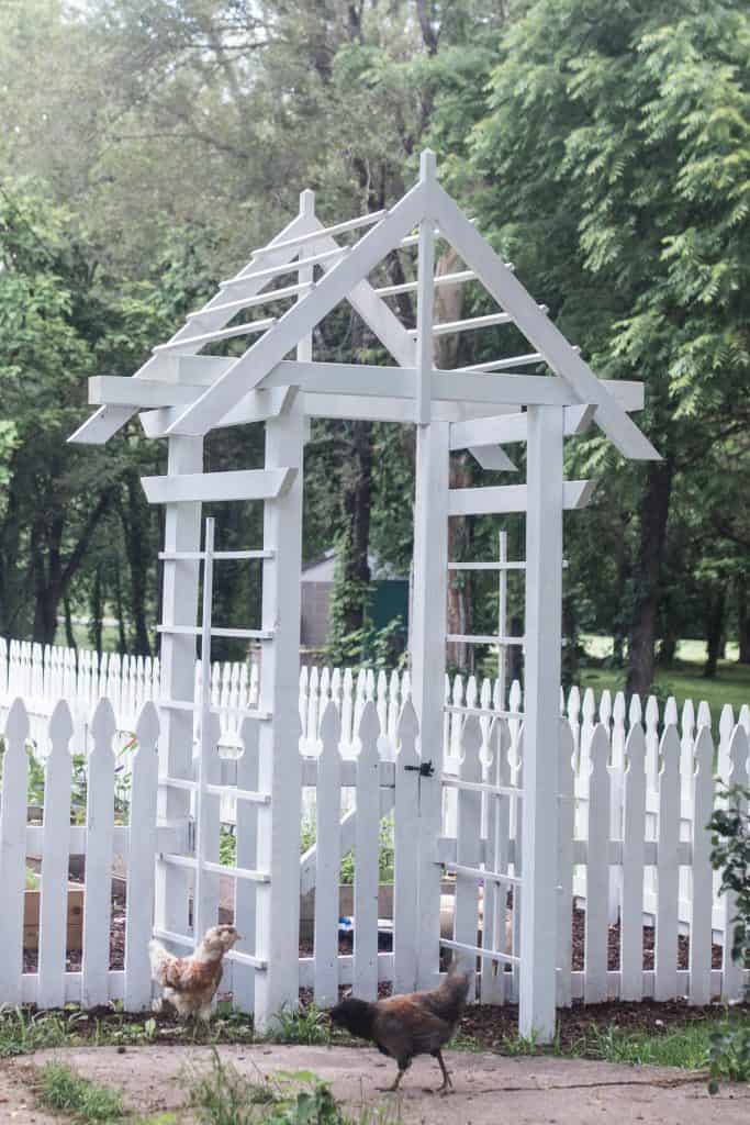 diy arbor plans at the entrance of a garden with a white picket fence