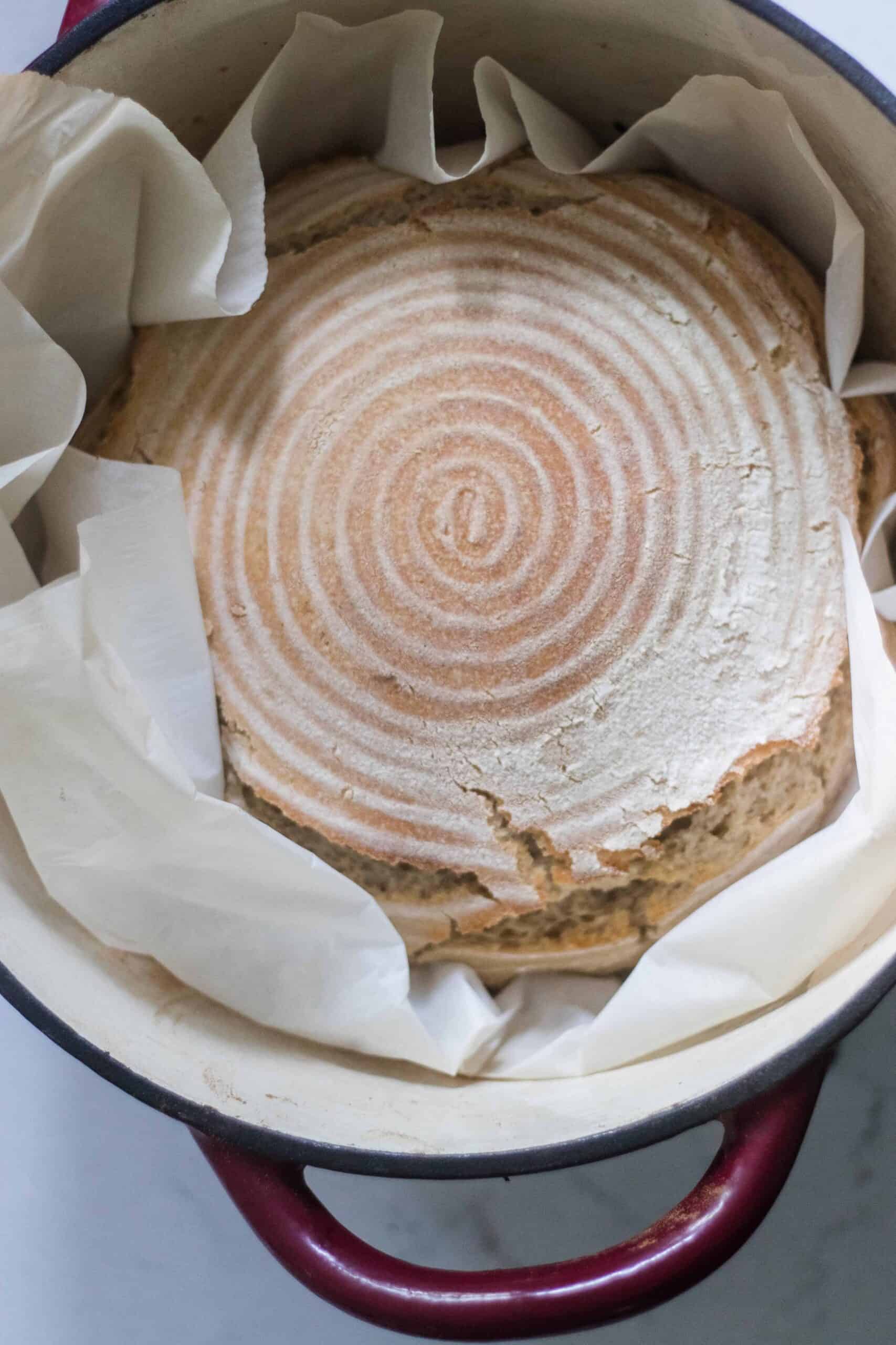 homemade artisan sourdough bread in a parchment lined dutch oven