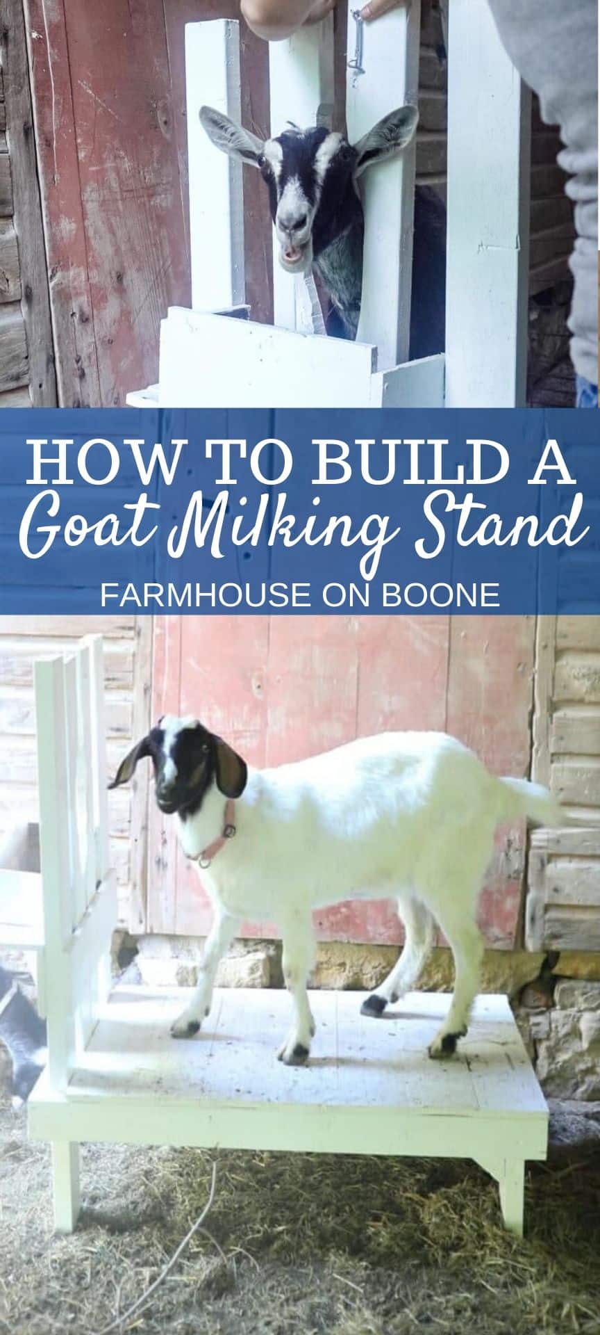 How To Build A Goat Milking Stand Farmhouse on Boone
