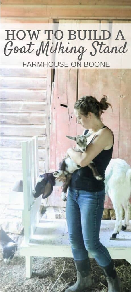 women holding a goat with a goat in the background on a goat stand