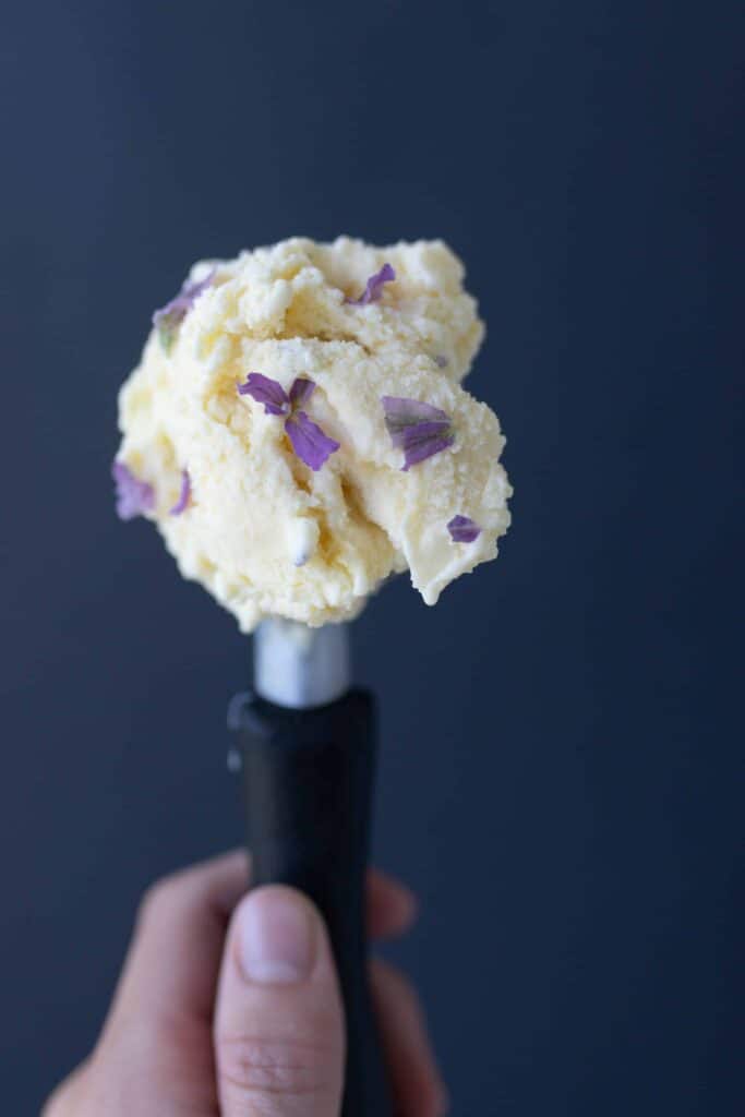 hand holding an ice cream scoop with a scoop full lavender ice cream in it.