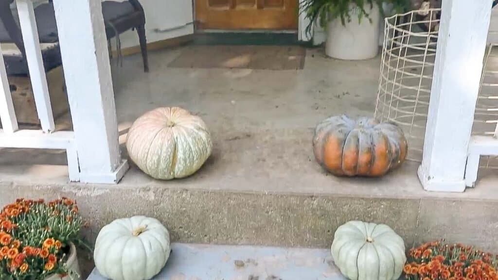 mums and pumpkins on steps to a farmhouse front porch