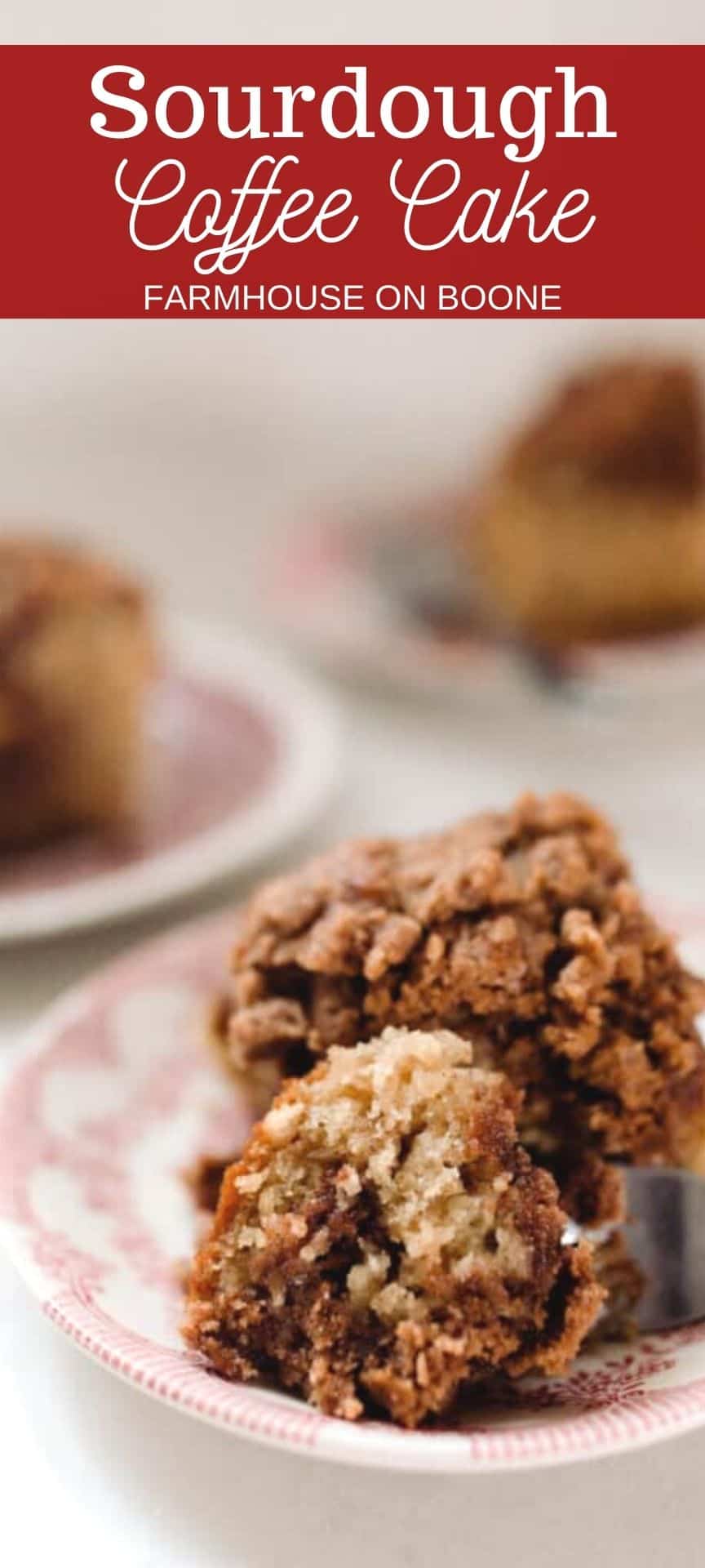 unbaked sourdough coffee cake in a baking pan.