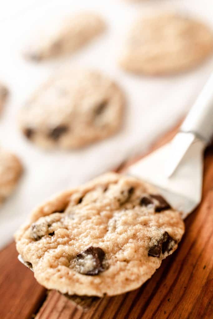 sourdough chocolate chip cookies on a spatula