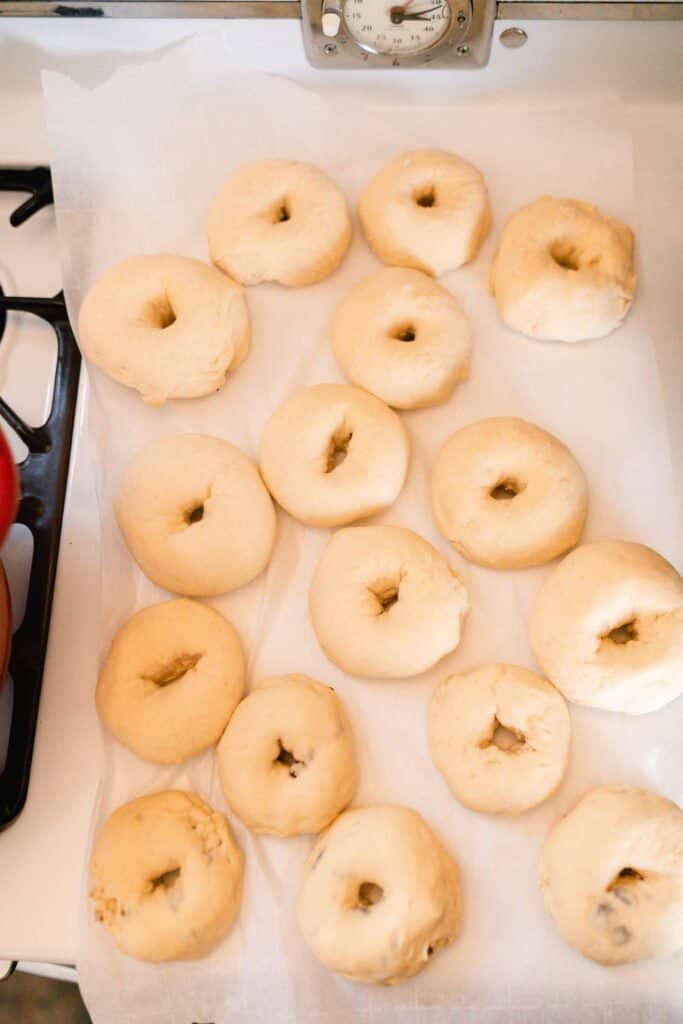 sourdough bagels on a baking sheet