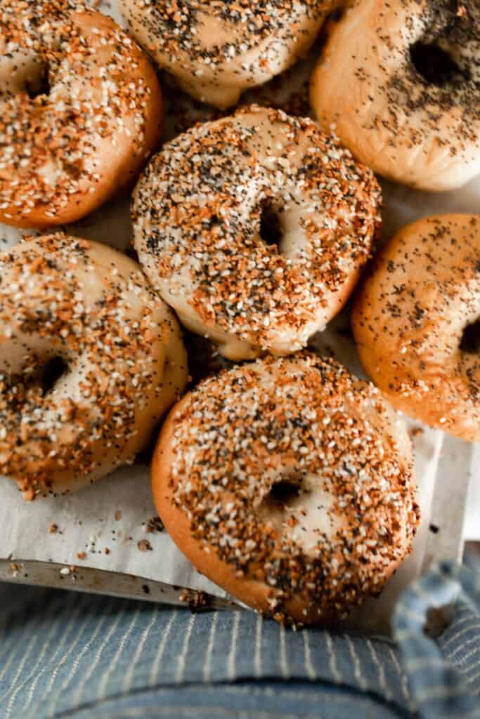 sourdough bagels with everything seasoning on a parchment lined baking sheet