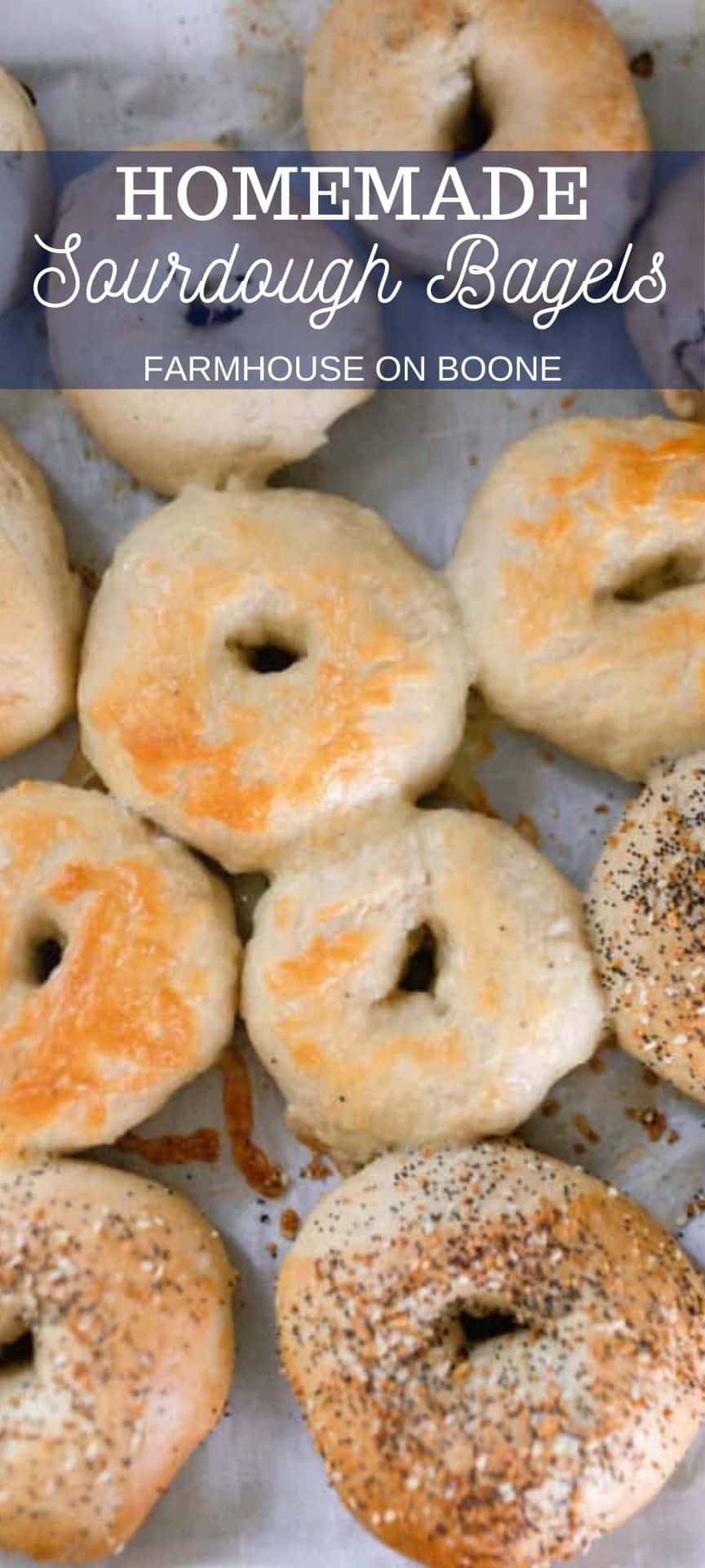 Homemade Sourdough Bagels Farmhouse on Boone
