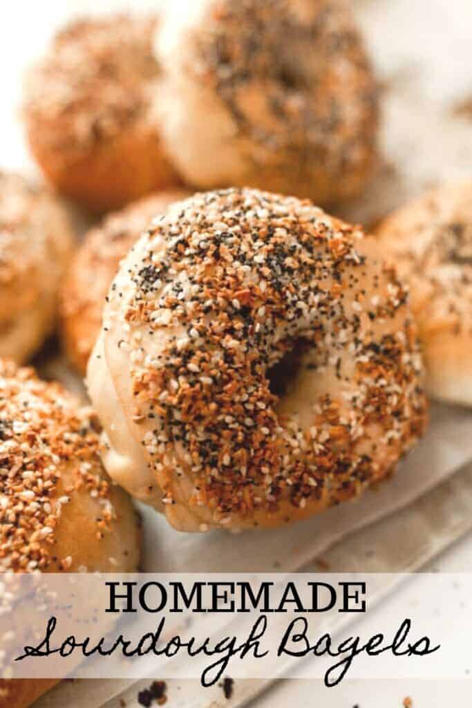 everything sourdough bagels on a baking sheet with more bagels stacked in the background