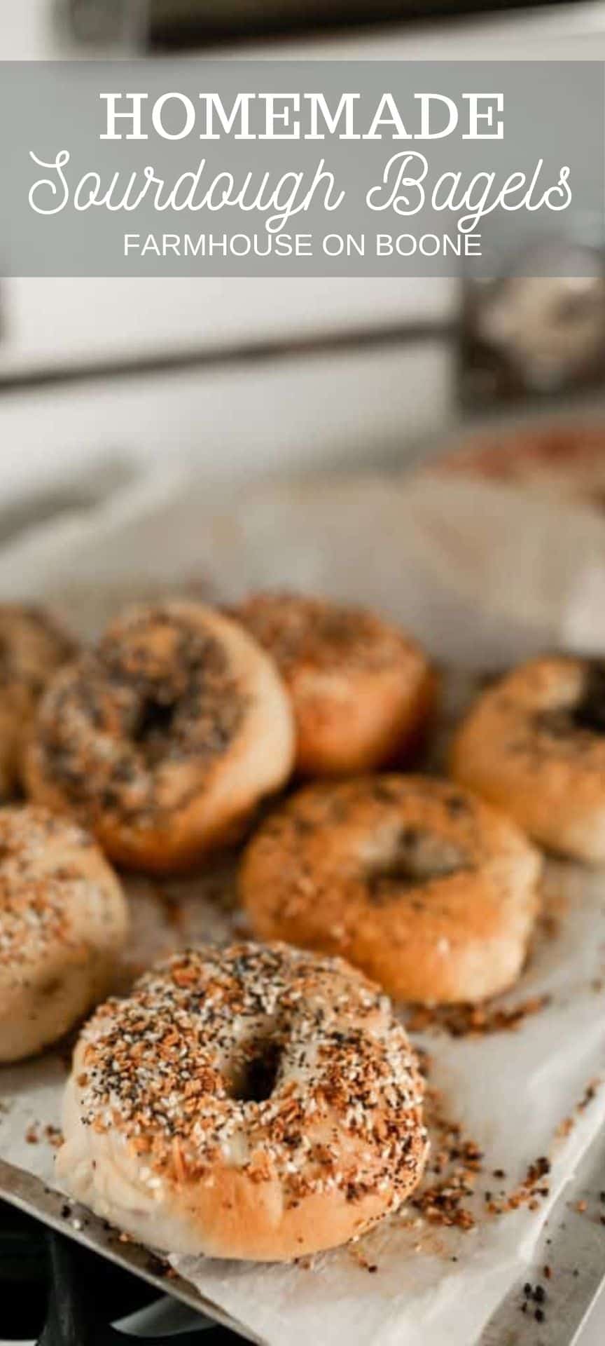 Homemade Sourdough Bagels Farmhouse on Boone