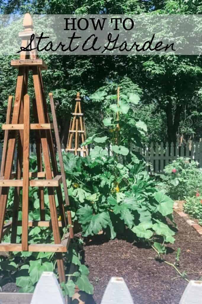 garden nursing with life and two French tuetors 