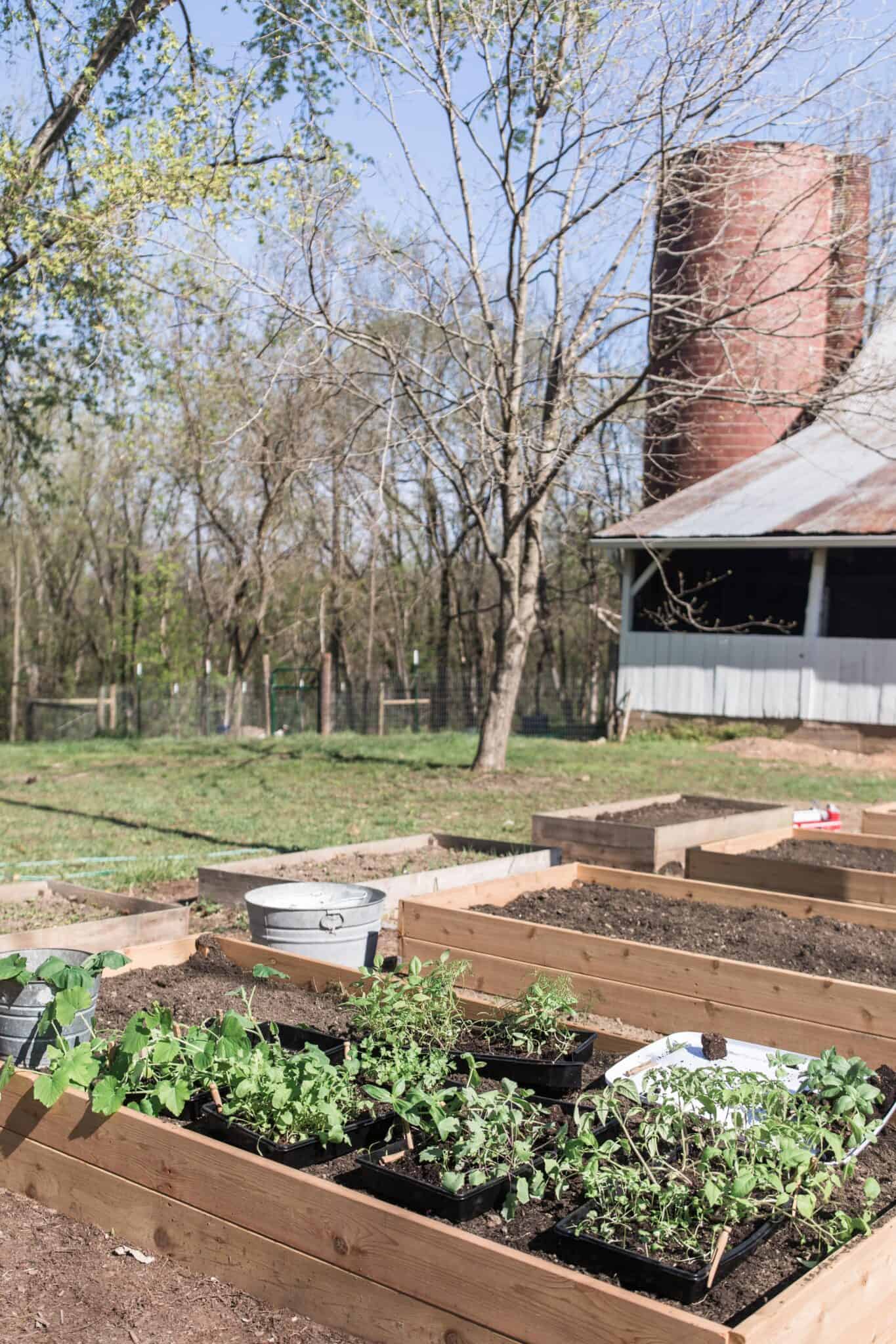 cedar raised garden beds