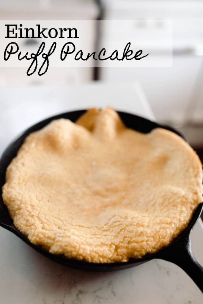 einkorn puff pancake in a cast iron skillet on white quarts countertop. A antique stove is in the background